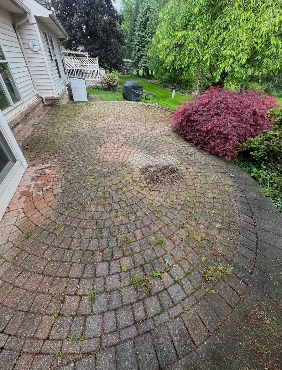 Brick paver patio before power washing