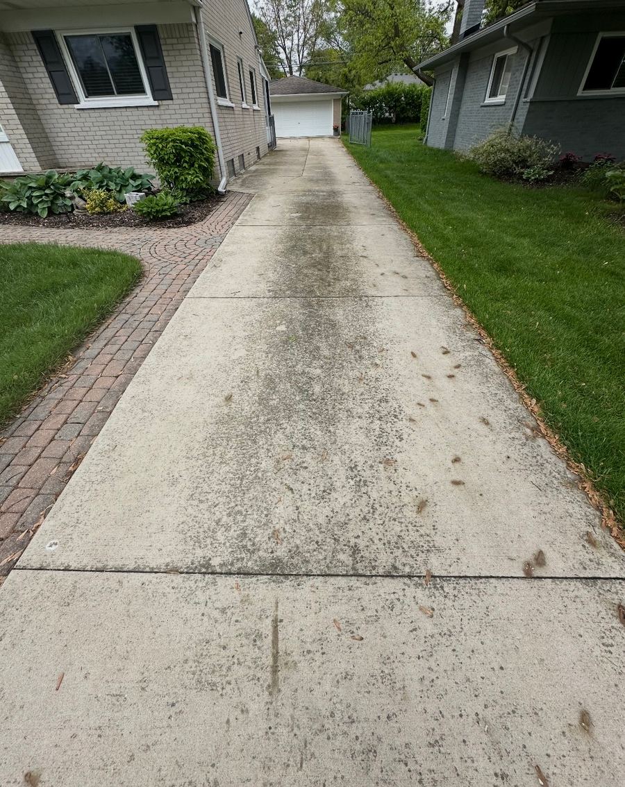 Before Driveway & Concrete
