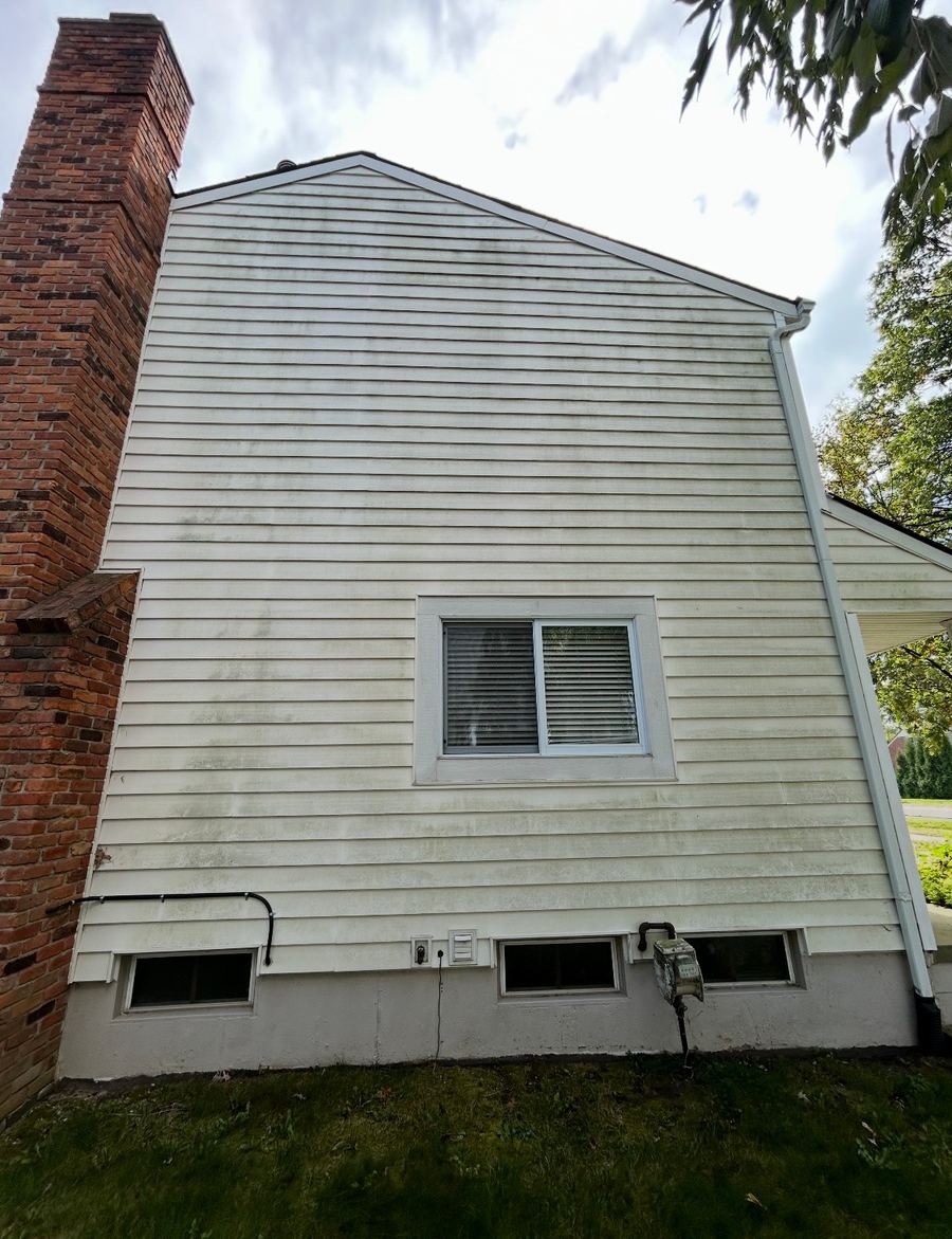 Before House Washing